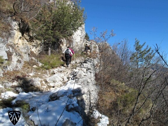 Img 97413691