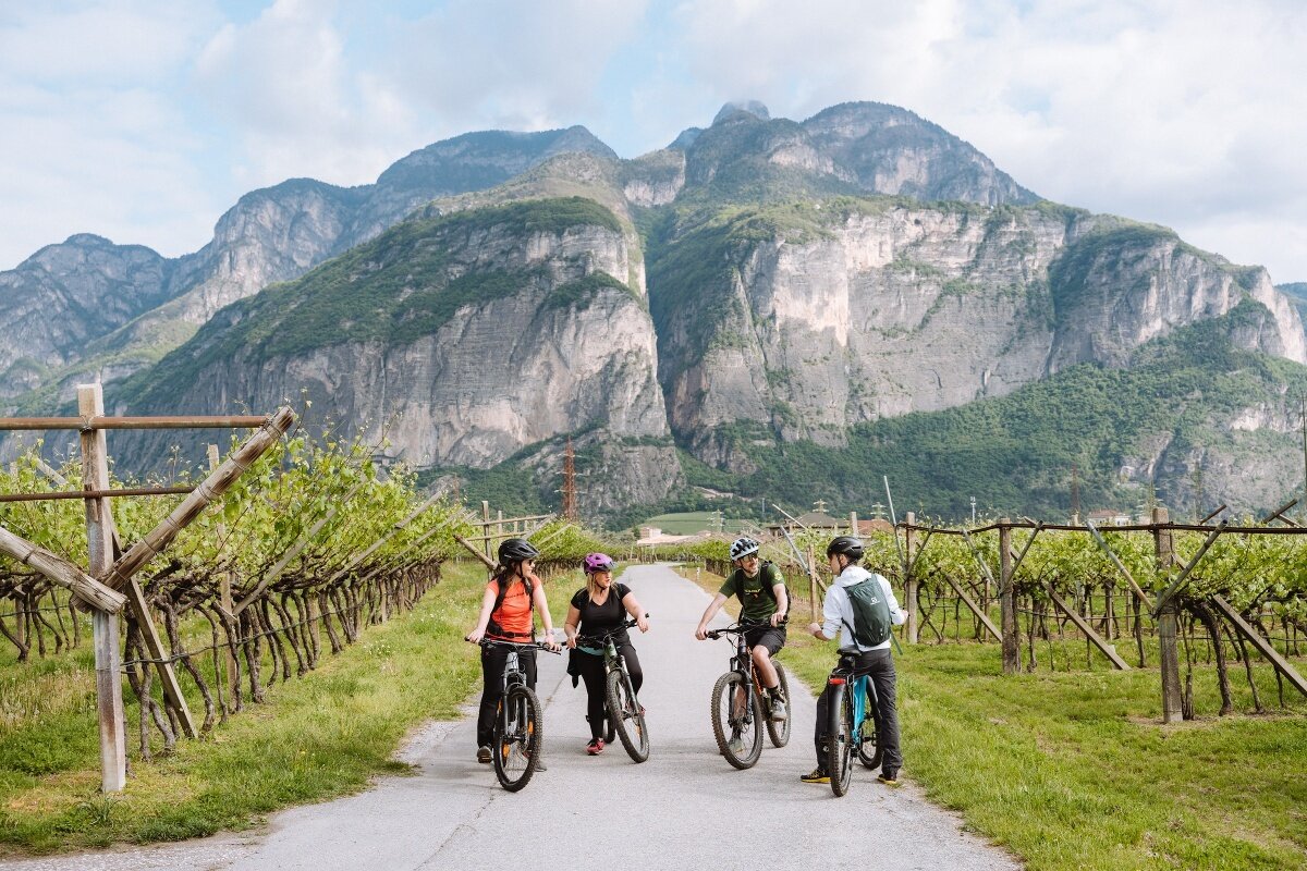 Giro Vino 50