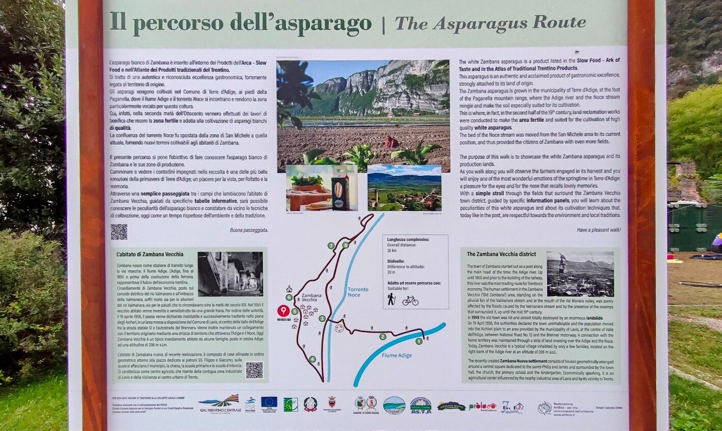 Img 77811622
