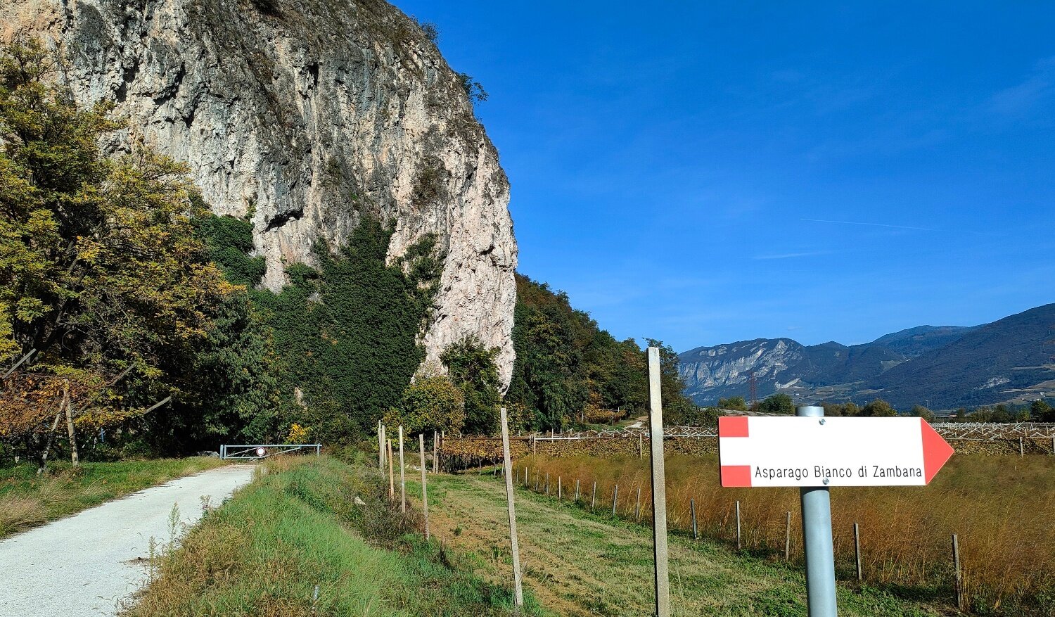 Img 77811625