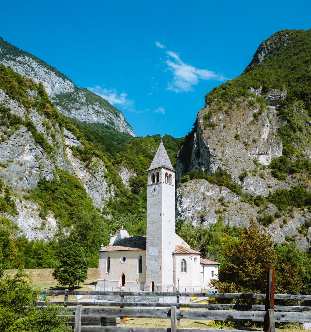 The White Asparagus trail