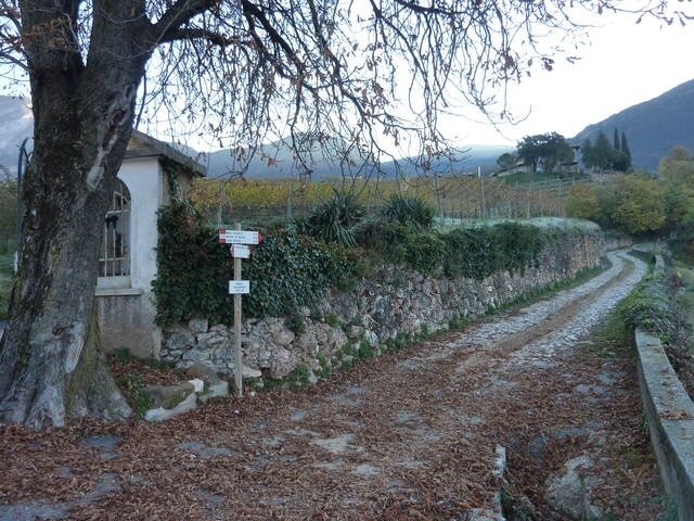 Img 39950091