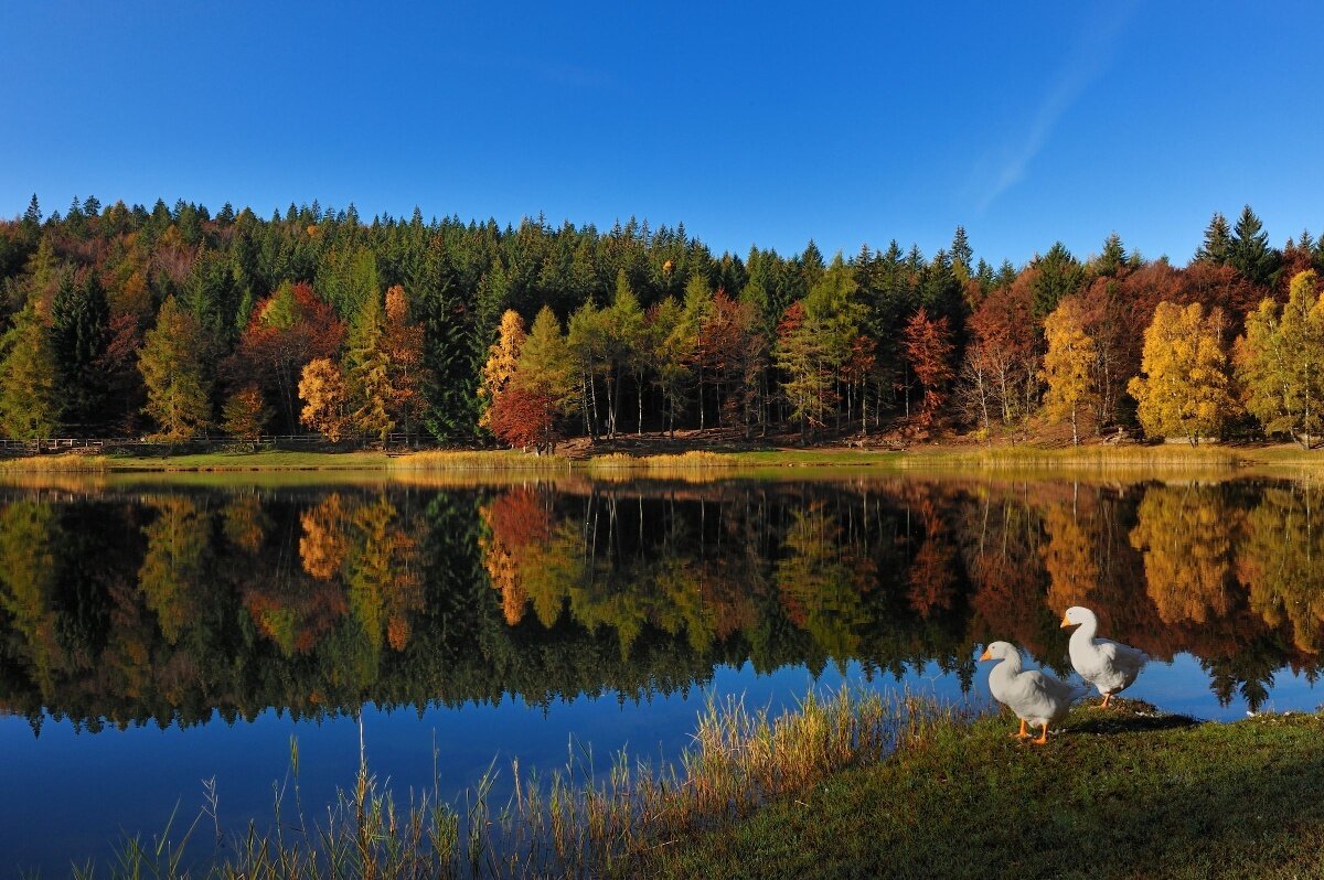 Lago Santo (SAT 414)