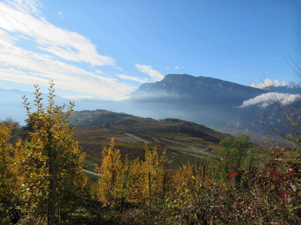 Img 97091072