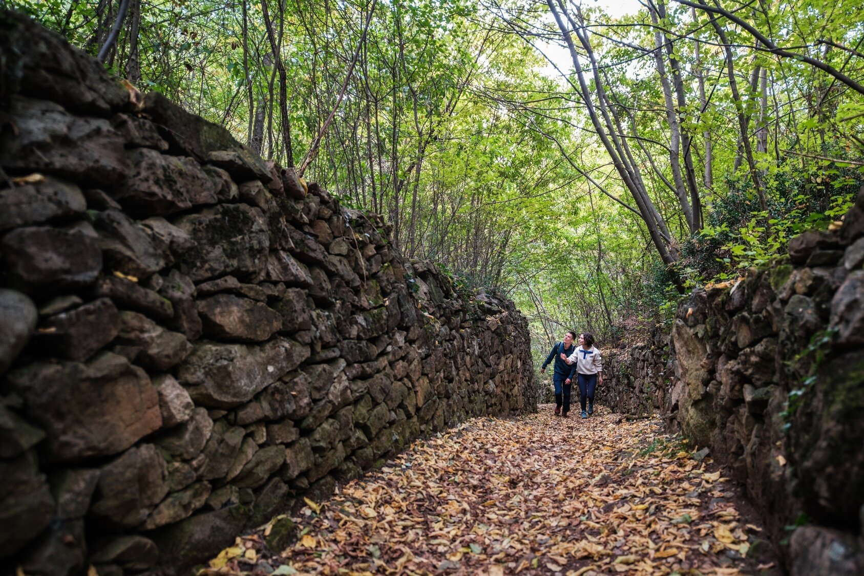 Lavis - Monte Corona