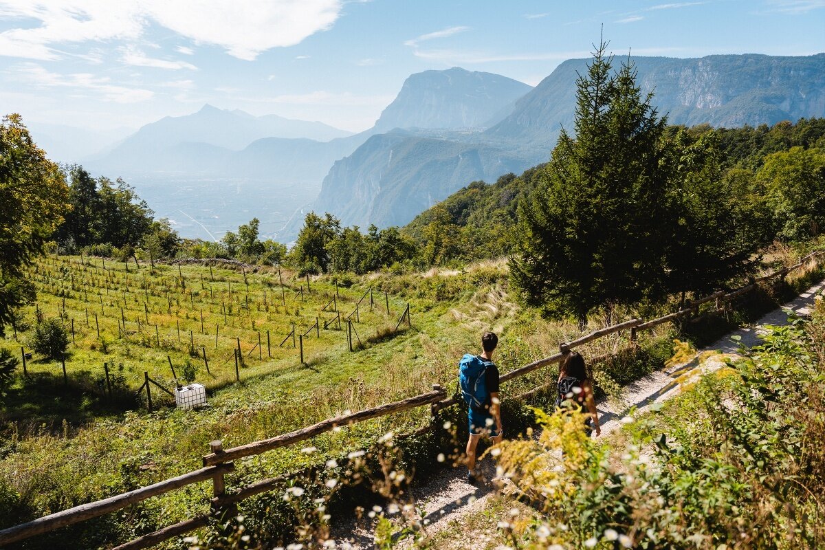 Monte di Mezzocorona - Bait dei Manzi - Aiseli (SAT 506)