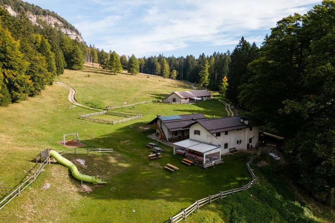 Monte di Mezzocorona - Rif. Malga Kraun (SAT 500-507)