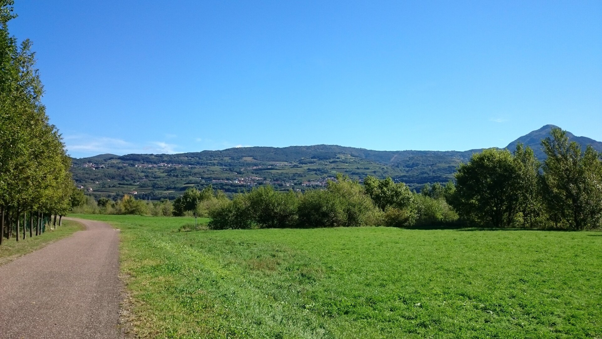 Img 94222733