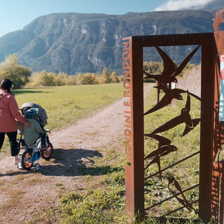 Walk at the Mouths of the Avisio