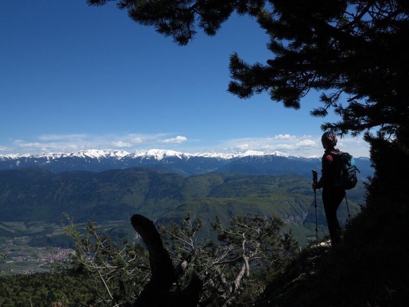 Rif. Malga Kraun - Cima Roccapiana (SAT 518)