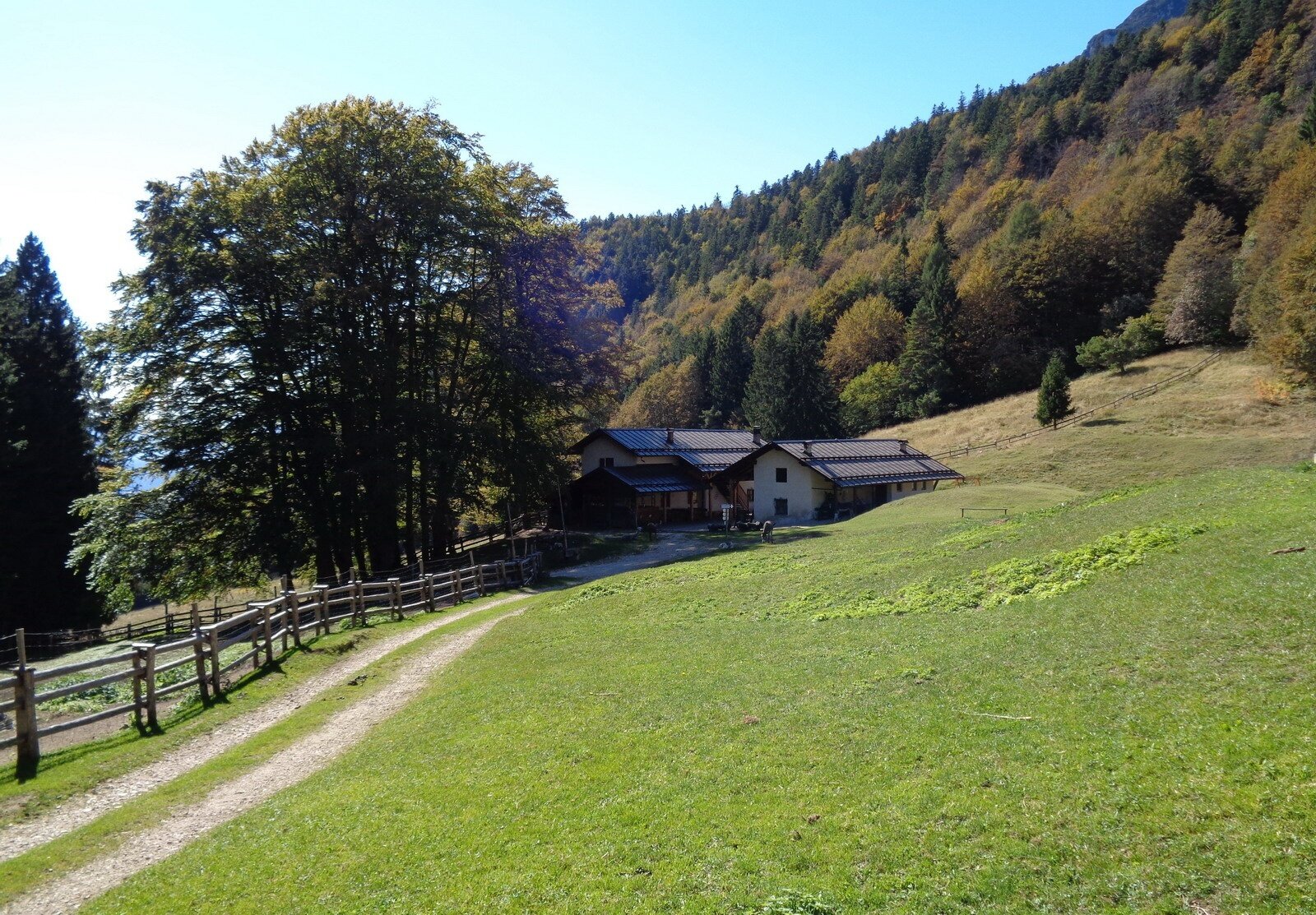 Img 601132685