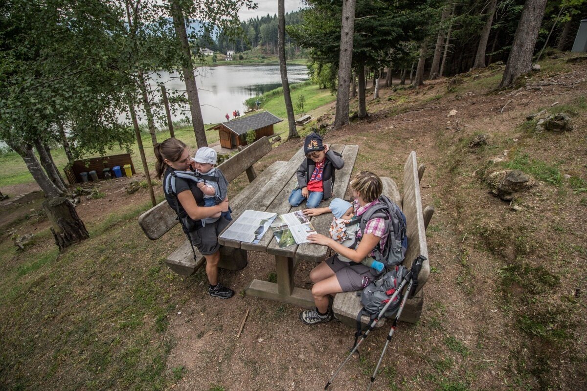 San Michele a/A - Lago Santo (SAT 414)