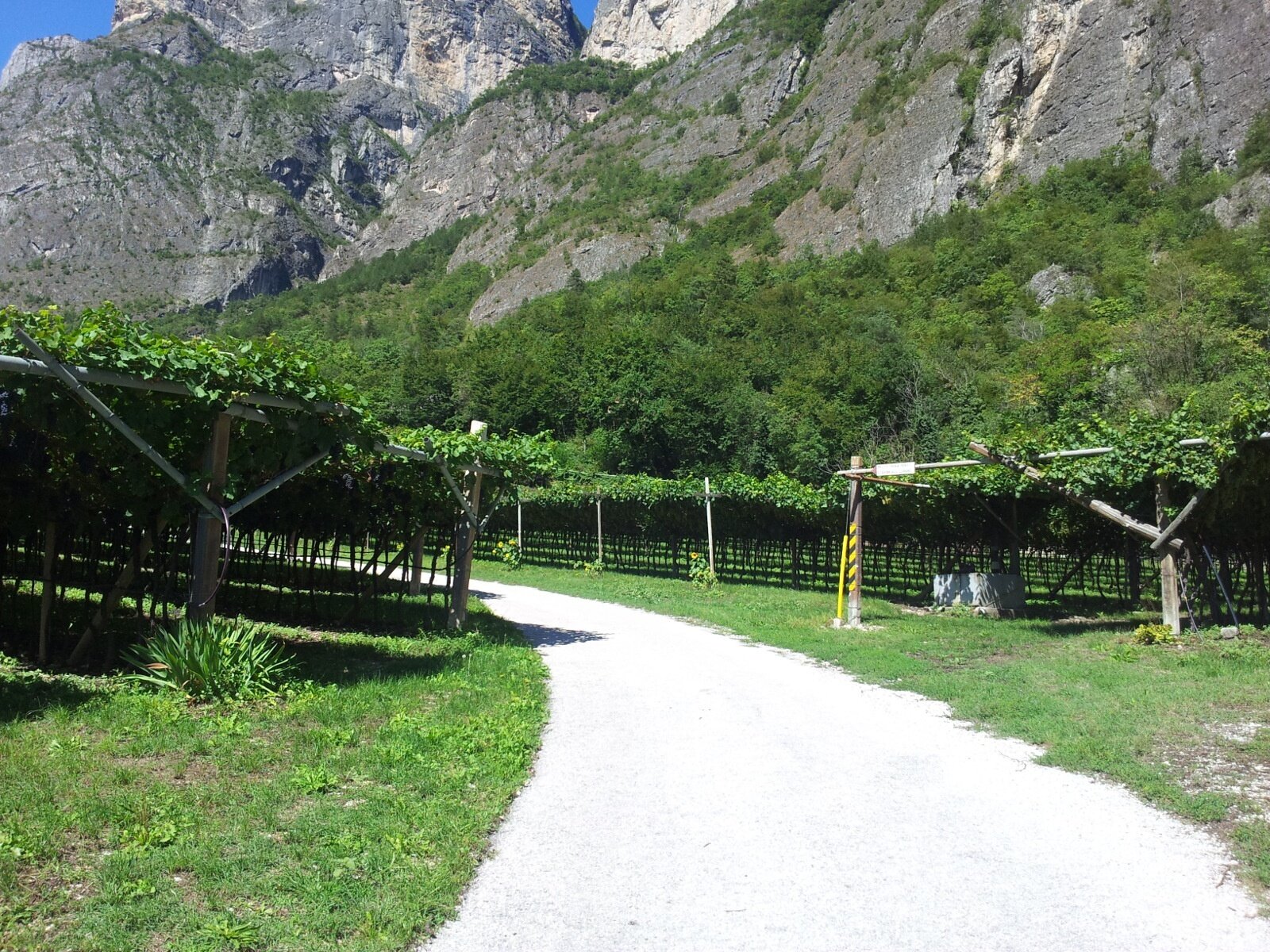 Strada delle Longhe