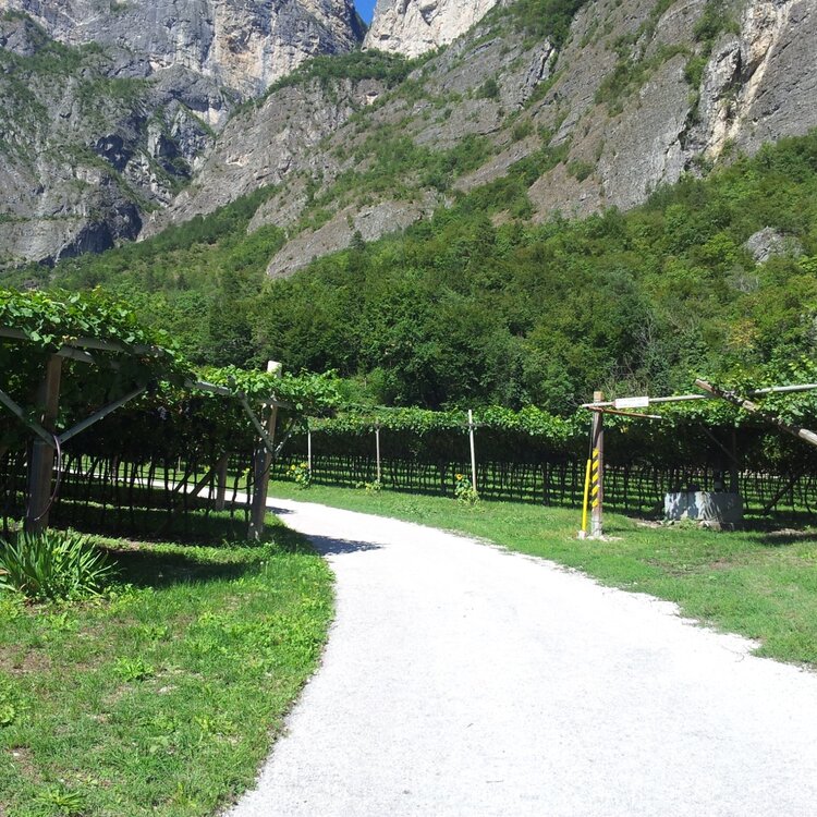 Strada delle Longhe