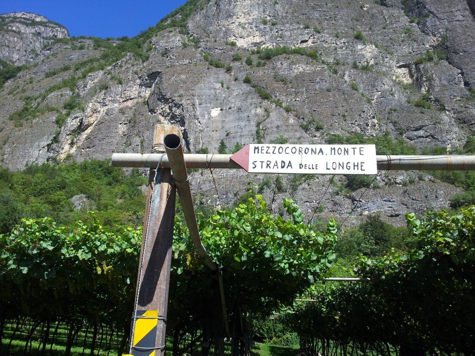 Img 17760673