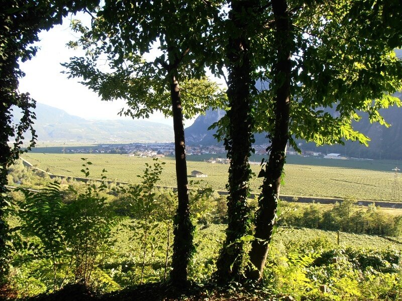 Img 14182637