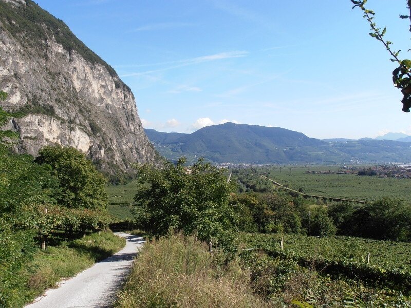 Img 14182638