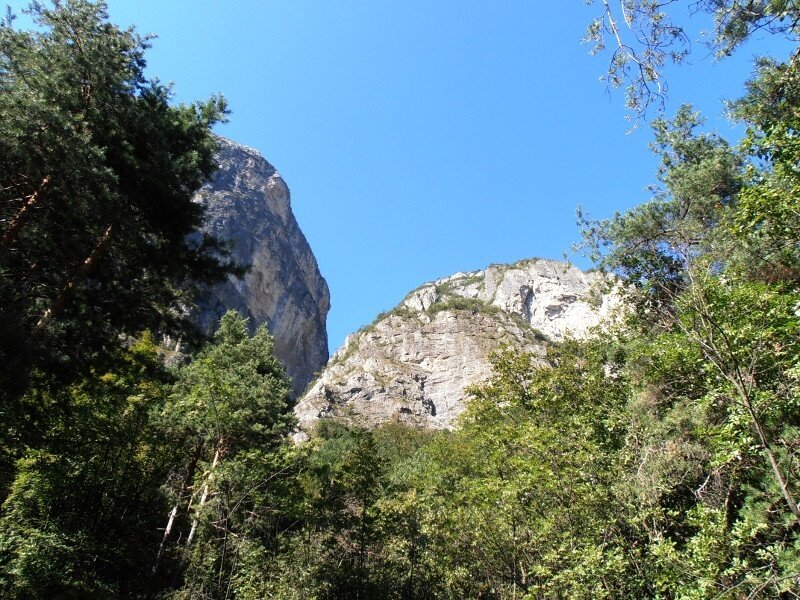 Img 14182639