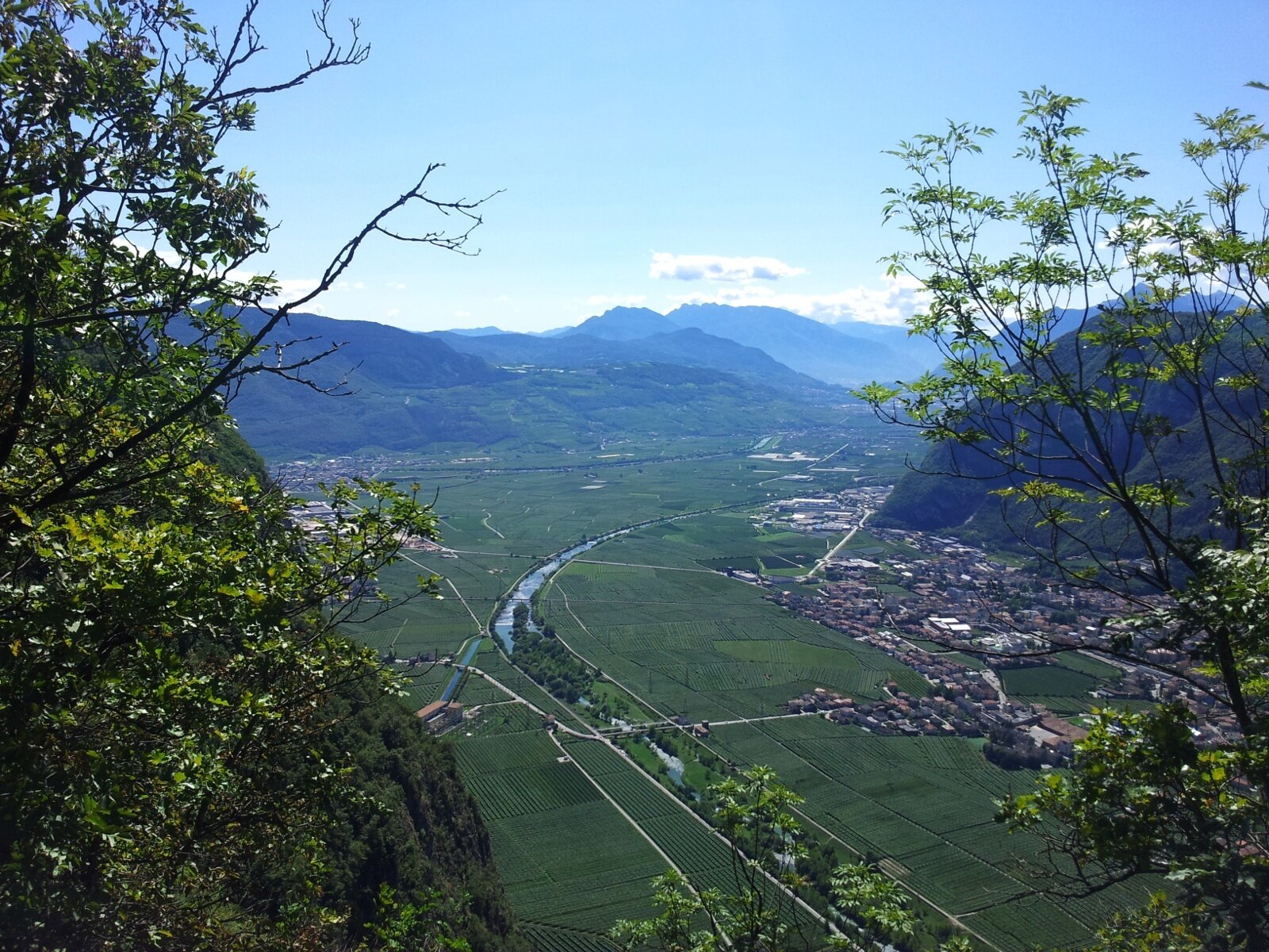 Img 17760676