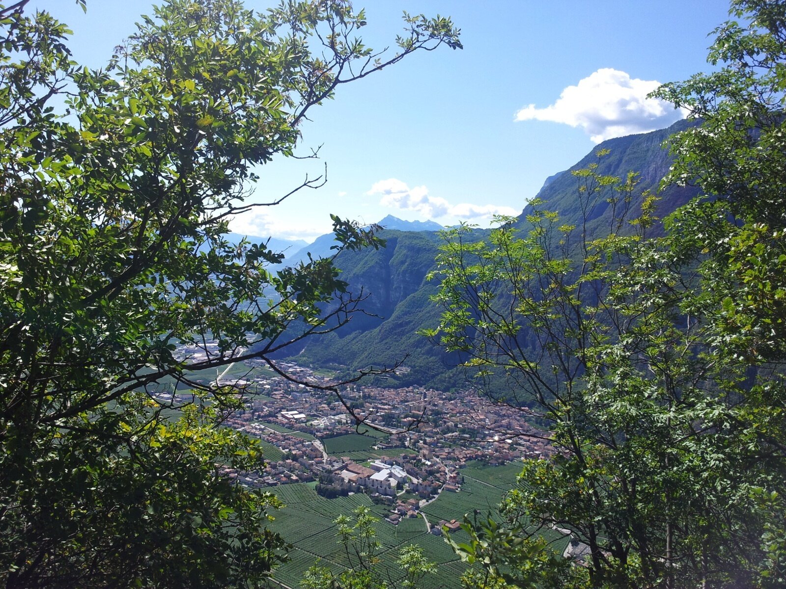 Img 17760677