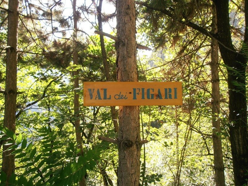 Img 14182642