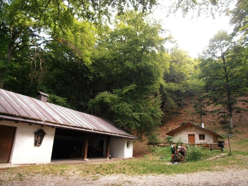 Img 14182644