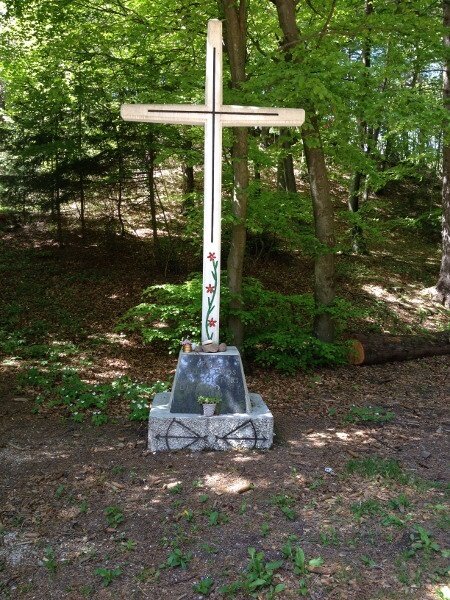 Img 14099026