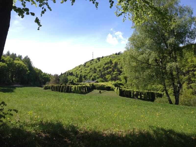Img 14099029