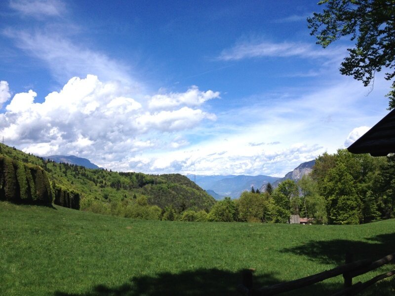 Img 14099030