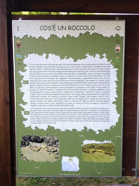 Img 14099031