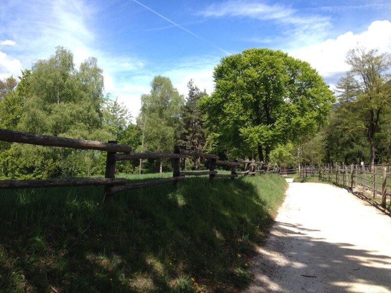 Img 14099032