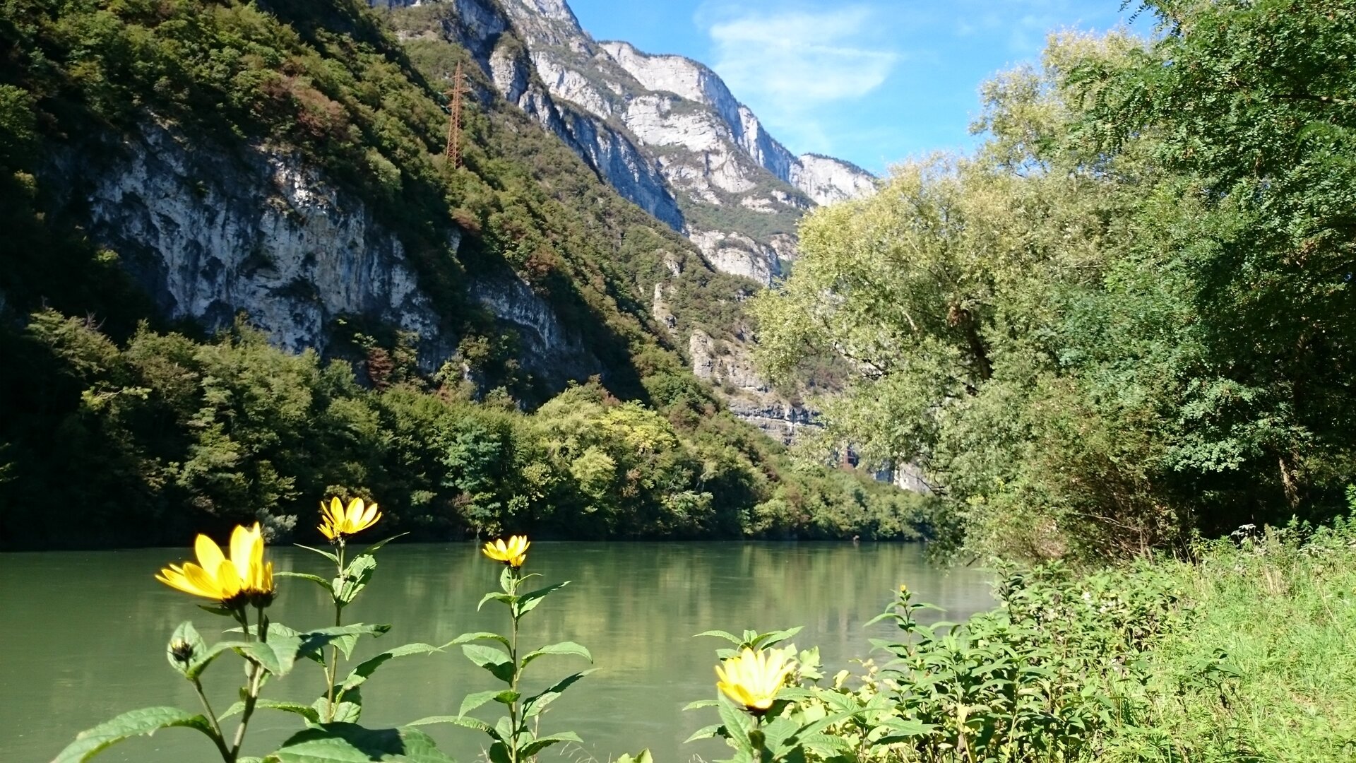 Foci dell'Avisio Biotope