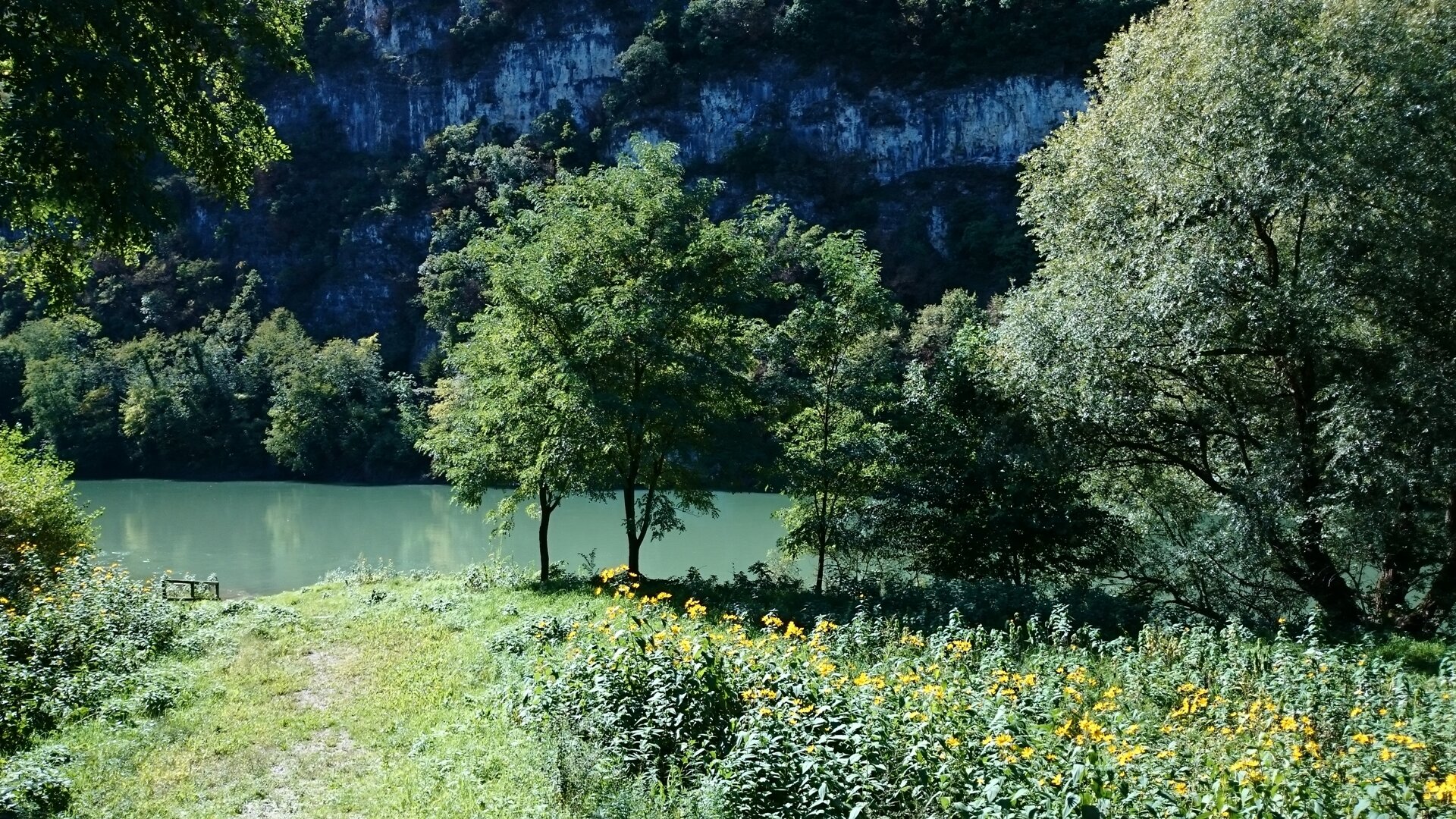 Content Dam Org 5 Images Full Rights Piana Rotaliana Natura Foci Avisio 2015 10 05 12 52 Ph Francesco Anderlini