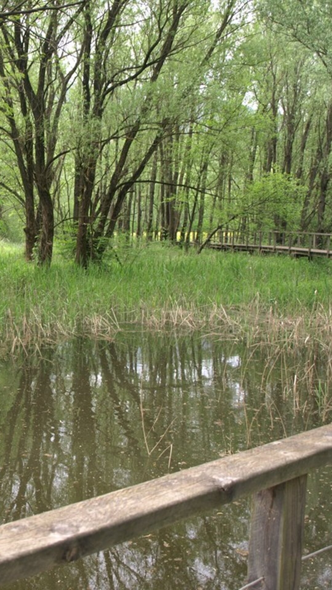 La Rocchetta Biotope
