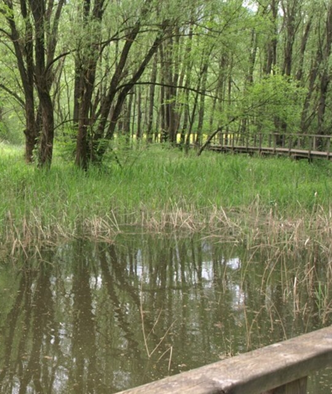 La Rocchetta Biotope