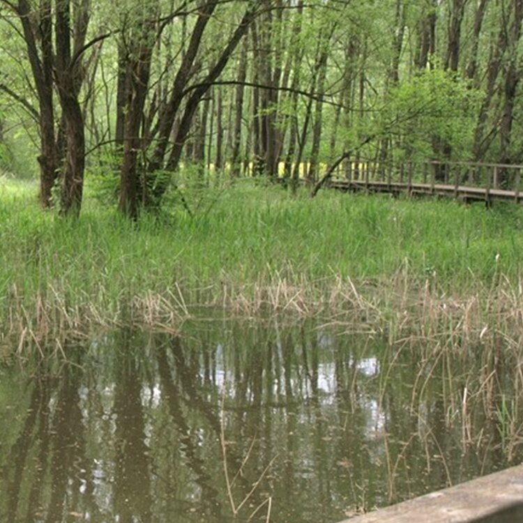 La Rocchetta Biotope
