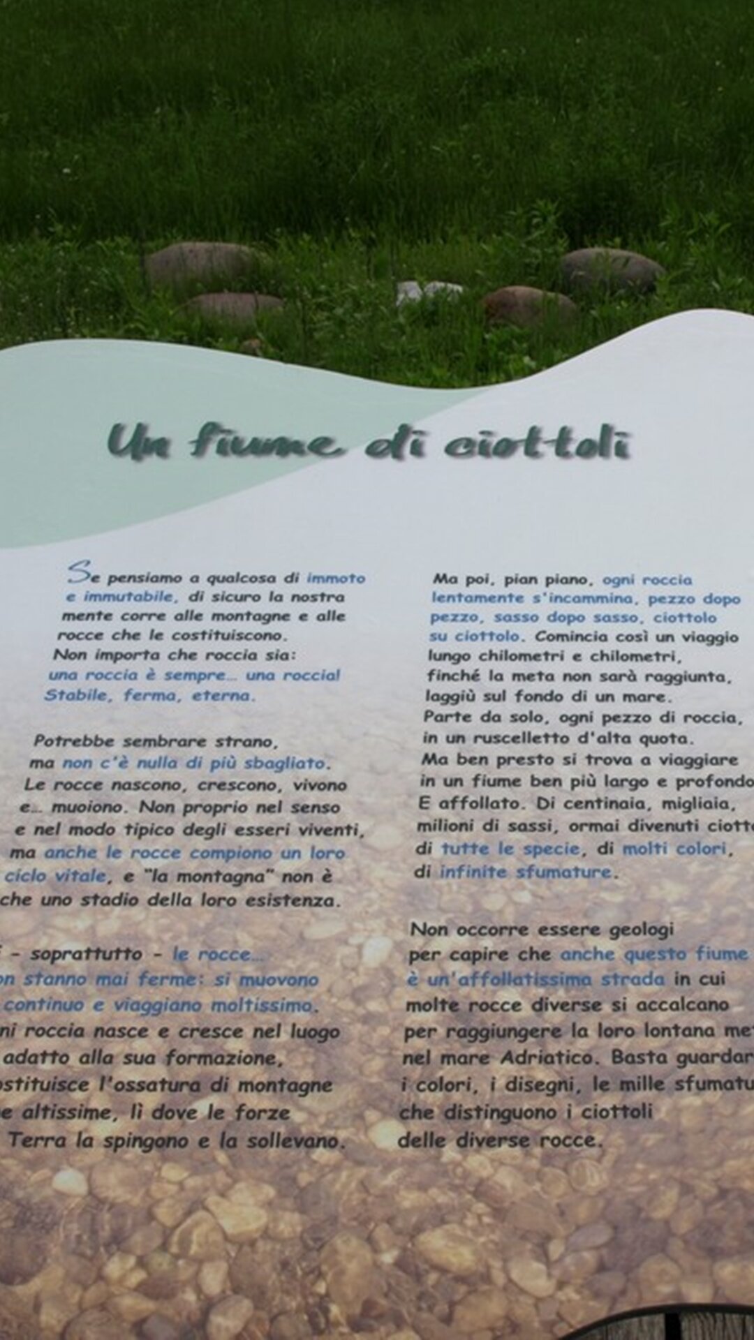 Content Dam Org 5 Images Full Rights Piana Rotaliana Natura Biotopo La Rocchetta Biotopo Rocchetta Testo Ph Asuc Dercolo
