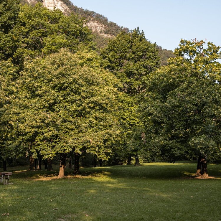 Ai Piani area