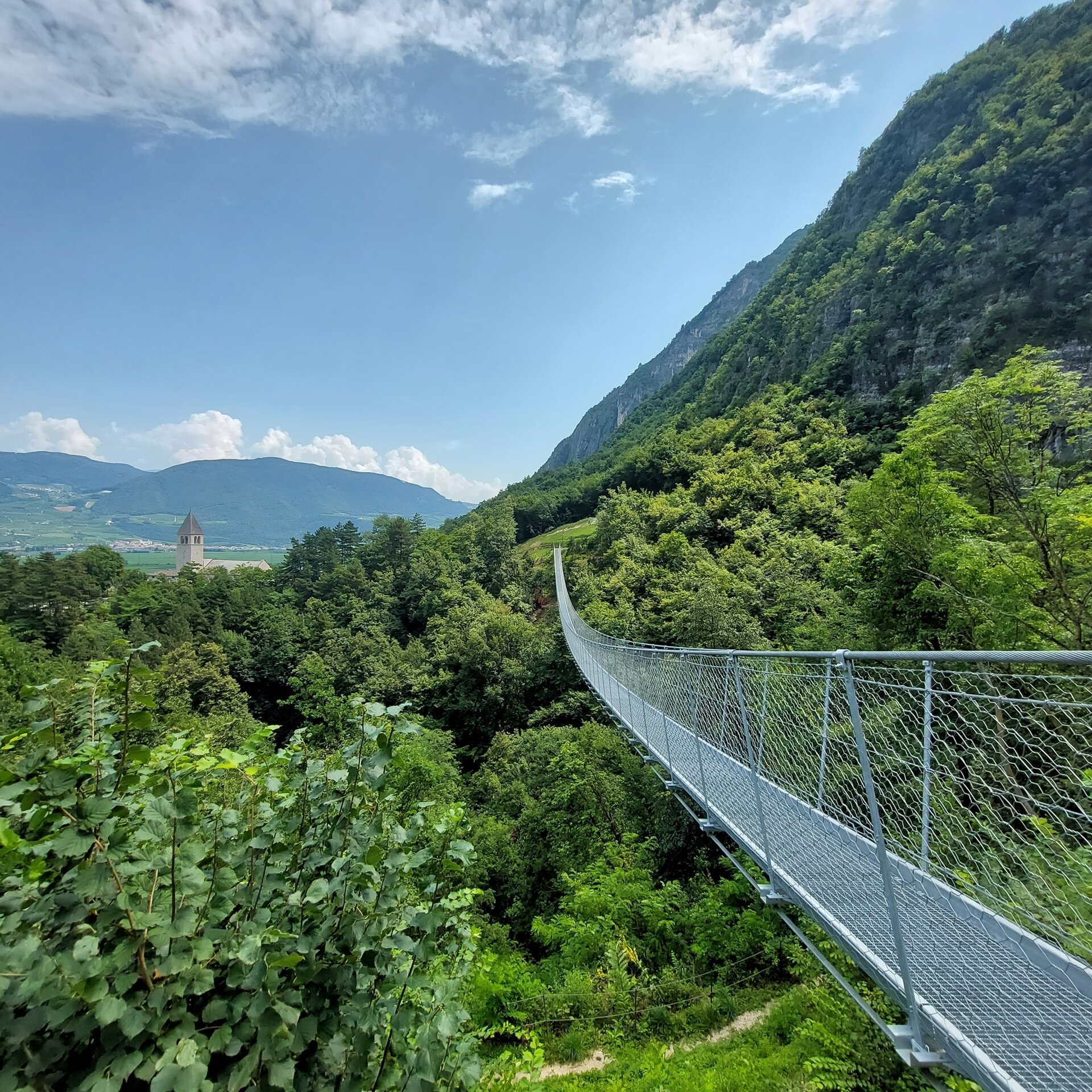 Content Dam Org 5 Images Full Rights Piana Rotaliana Outdoor Ponte Sospeso Mezzolombardo Ponte Sospeso Mezzolombardo Ph Petra Nardelli