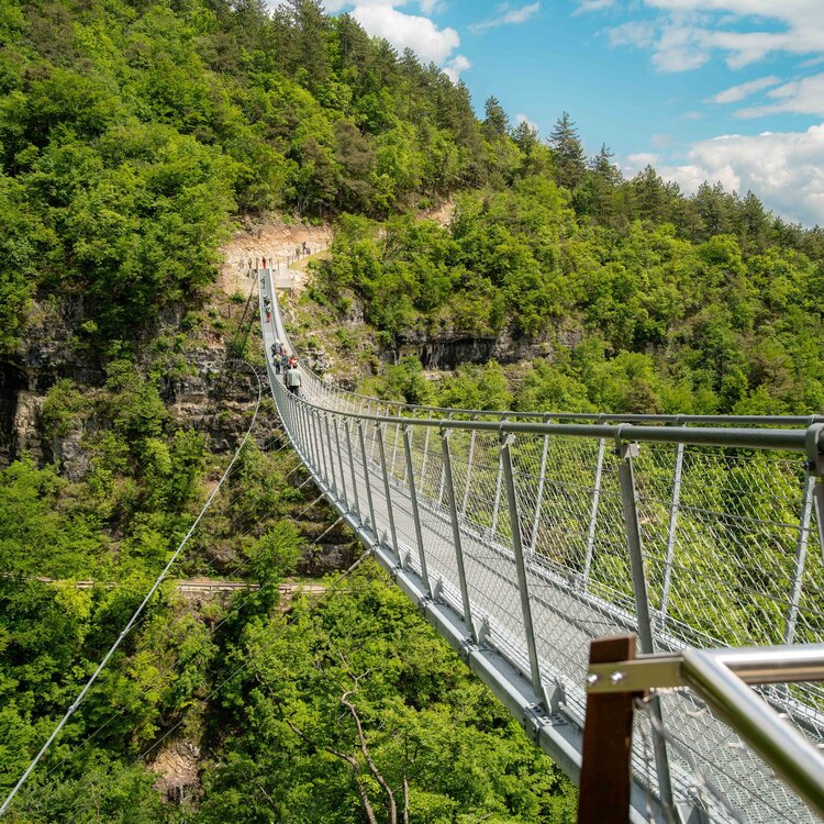 Monte di Mezzocorona Suspension Bridge
