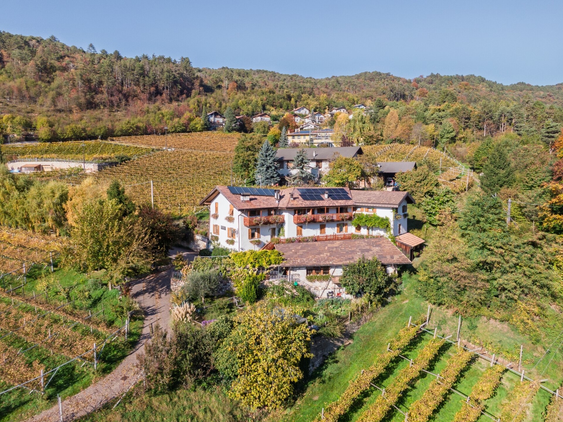 Content Dam Org 5 Images Full Rights Piana Rotaliana Gusto Agritur Maso Nello Maso Nello Alto