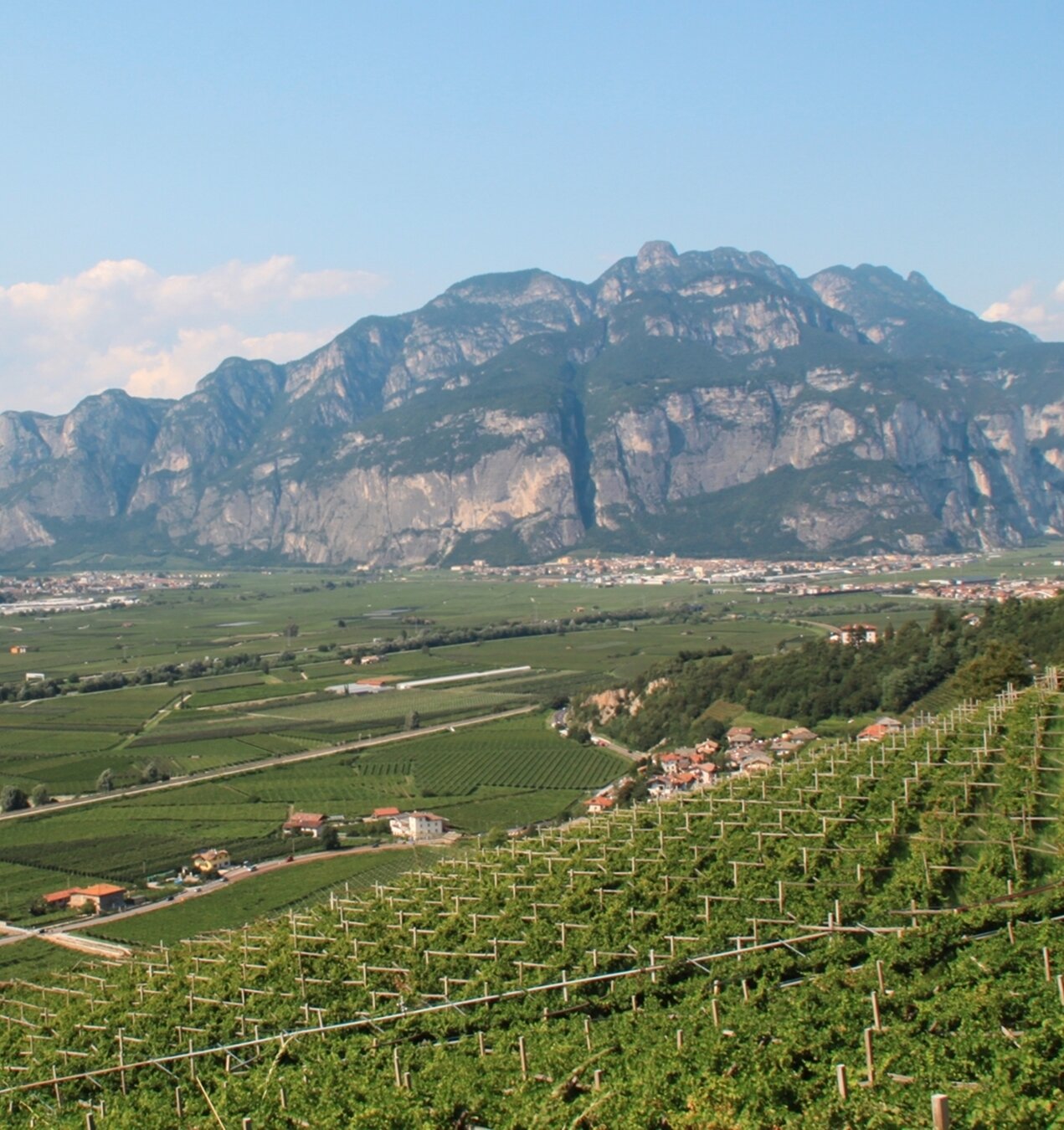 Content Dam Org 5 Images Full Rights Piana Rotaliana Gusto Agritur Maso Tratta Maso Tratta Vista Colline Avisiane