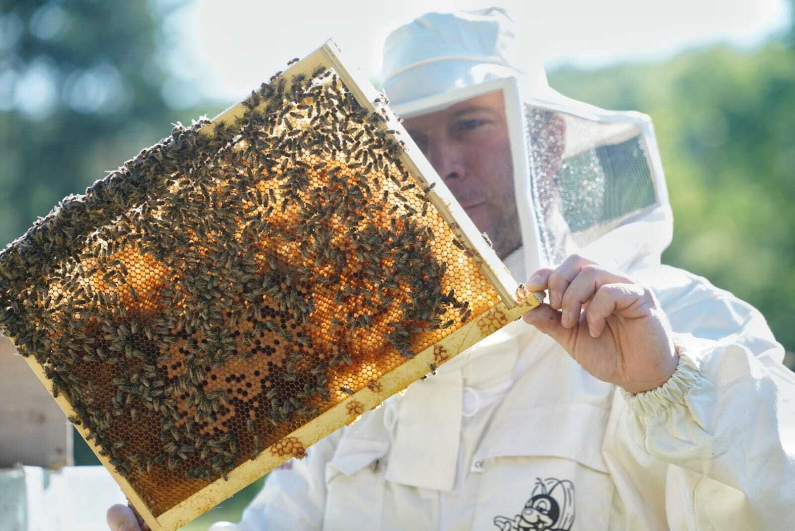 Apicoltura Albino Tait