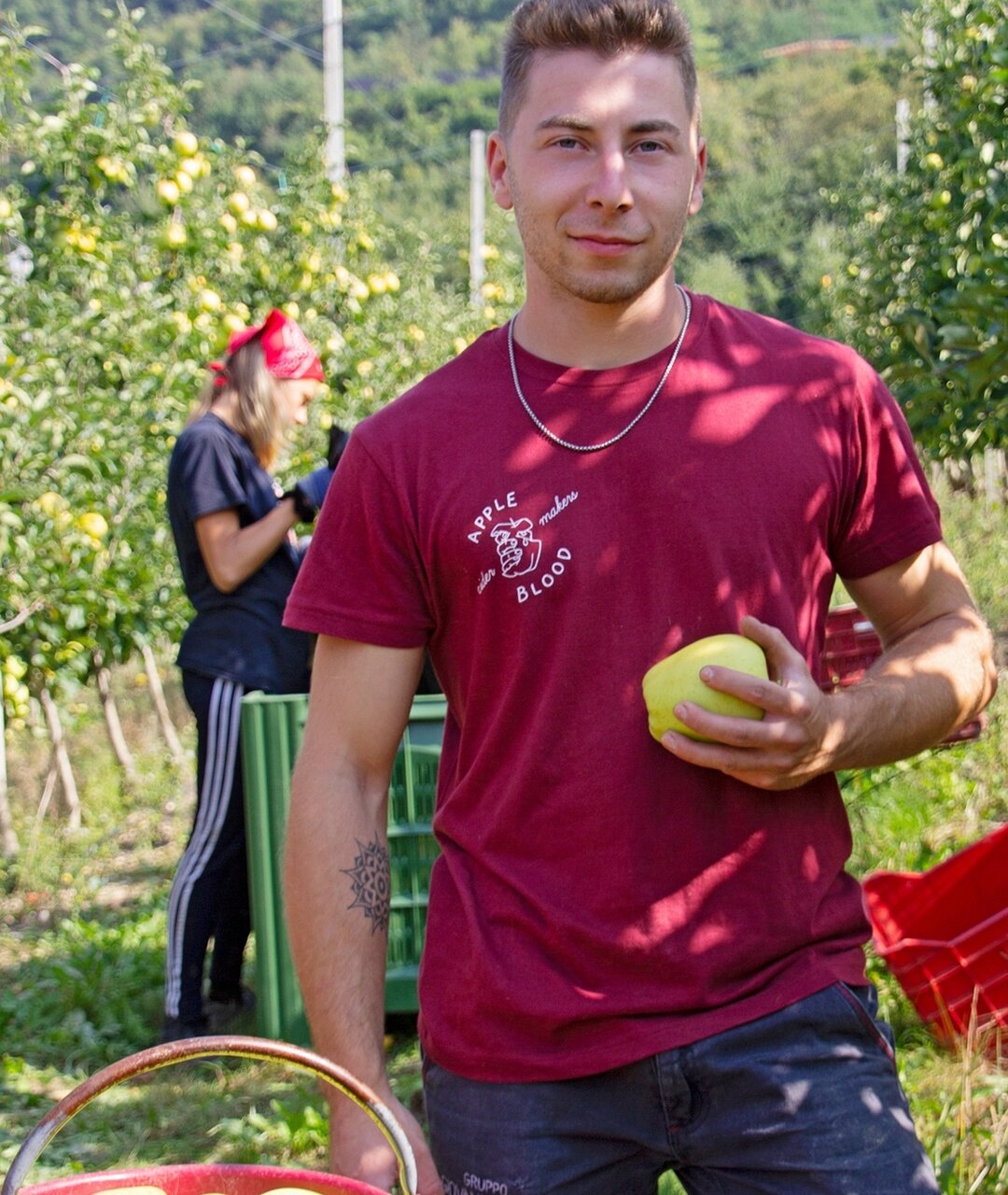 Apple Blood Cider