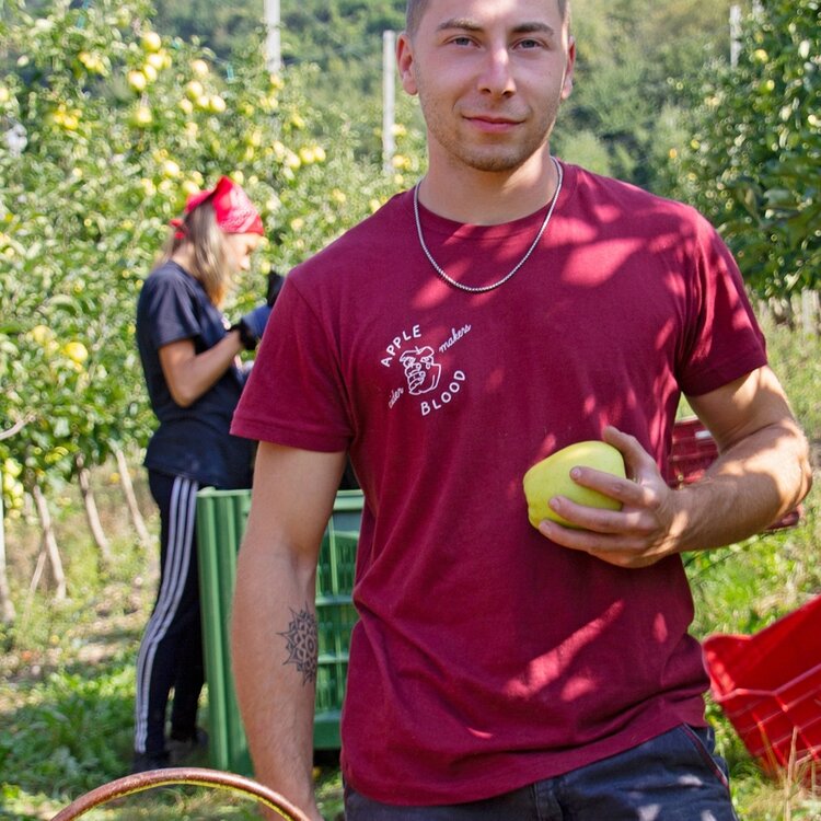Apple Blood Cider