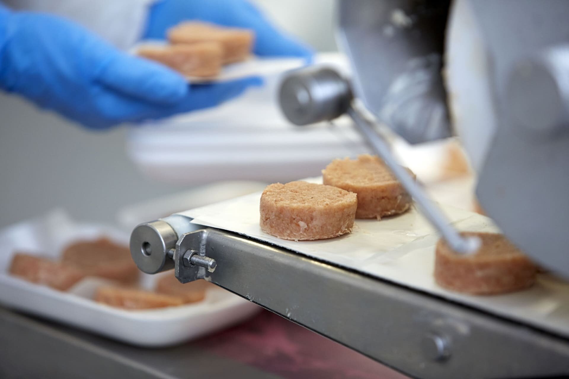 Content Dam Org 5 Images Full Rights Piana Rotaliana Shopping Produzioni Agricole Astro Trote Astro Trote Hamburger Credits Italmark