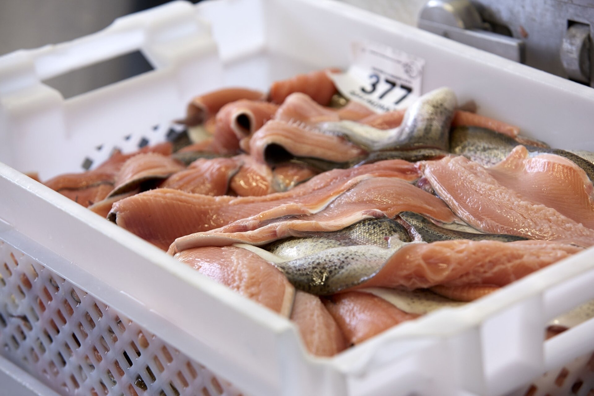 Content Dam Org 5 Images Full Rights Piana Rotaliana Shopping Produzioni Agricole Astro Trote Astro Trote Tranci Credits Italmark