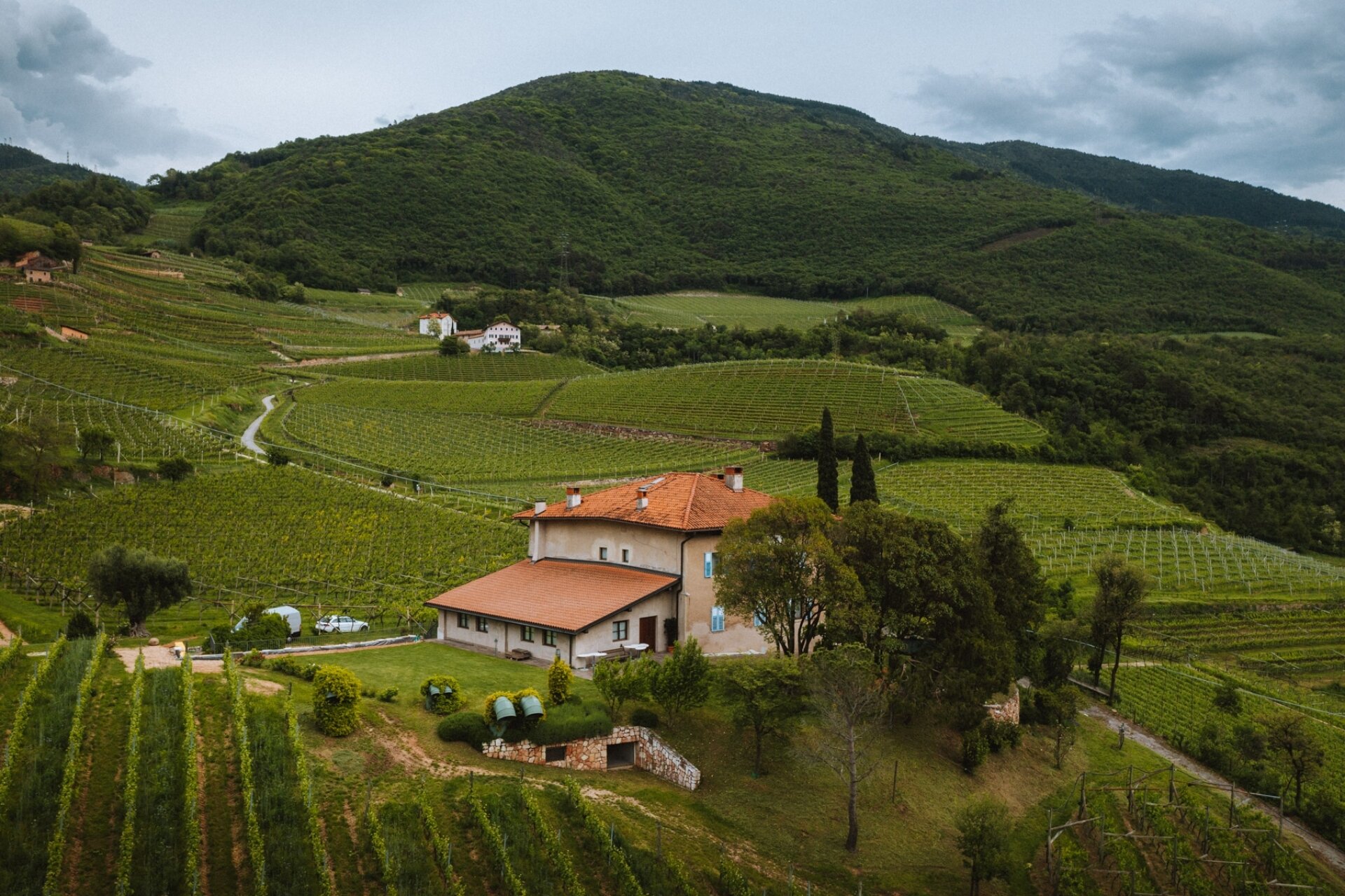 Content Dam Org 5 Images Full Rights Piana Rotaliana Shopping Cantine E Distillerie Azienda Agricola Bellaveder 18 05 21 Bellaveder Ph Nicola Cagol 3