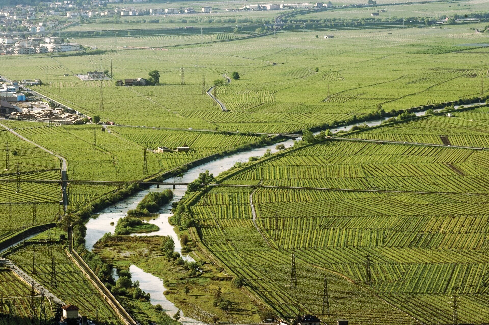 Content Dam Org 5 Images Full Rights Piana Rotaliana Shopping Cantine E Distillerie De Vescovi Ulzbach De Vescovi Ulzbach 1