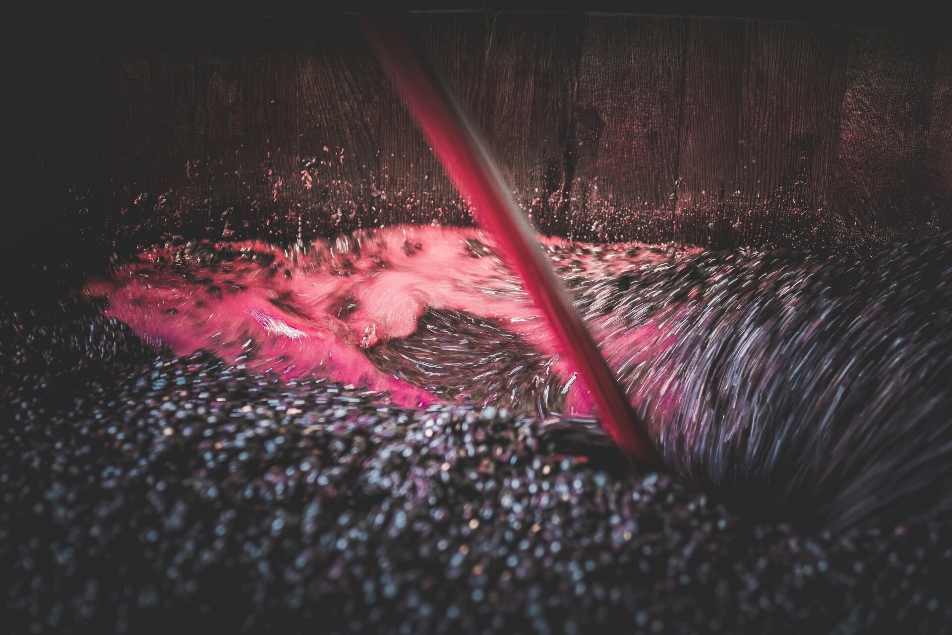 Content Dam Org 5 Images Full Rights Piana Rotaliana Shopping Cantine E Distillerie De Vescovi Ulzbach De Vescovi Ulzbach 2